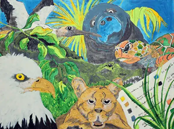 Wild Things: The Florida Everglades